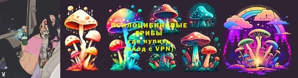хмурый Железноводск