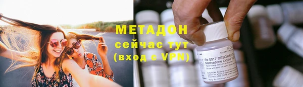 прущие грибы Жердевка