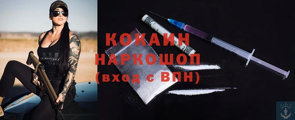 прущие грибы Жердевка
