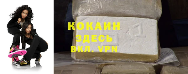 прущие грибы Жердевка