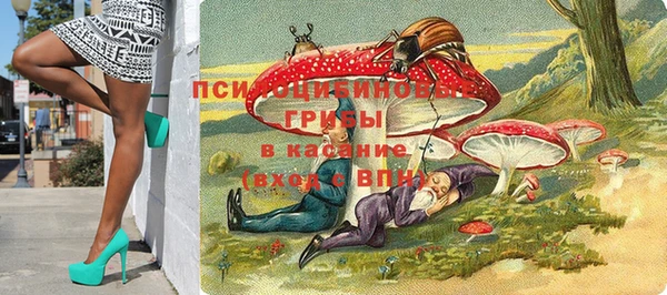 хмурый Железноводск