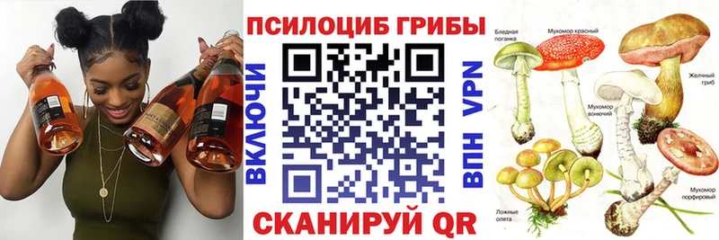 Псилоцибиновые грибы Magic Shrooms Новое Девяткино